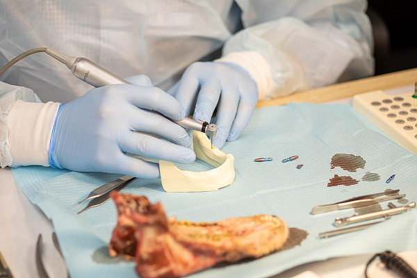 10 сентября Вольберг10.jpg