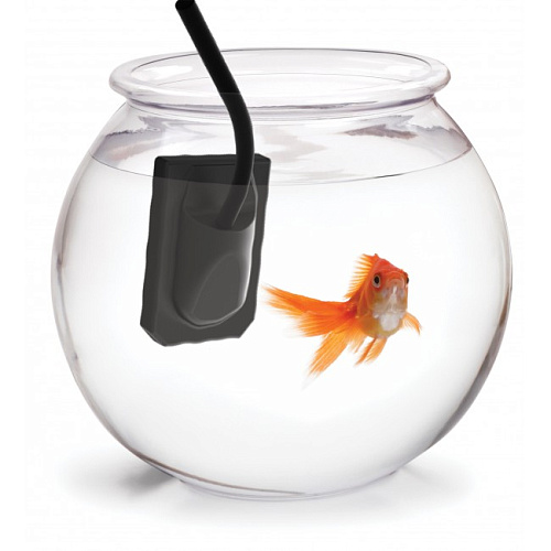 CSN RX2 HP NEW - стоматологический цифровой визиограф